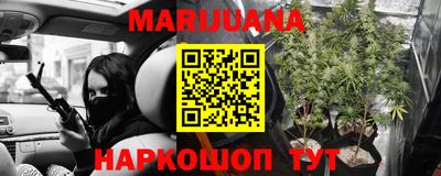 прущие грибы Баксан