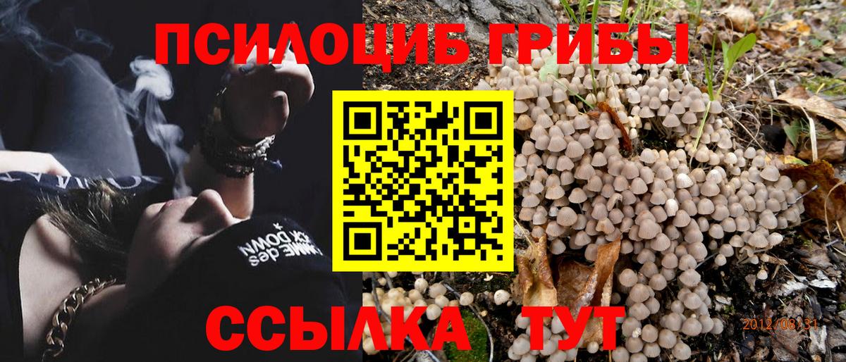 Галлюциногенные грибы GOLDEN TEACHER Алушта