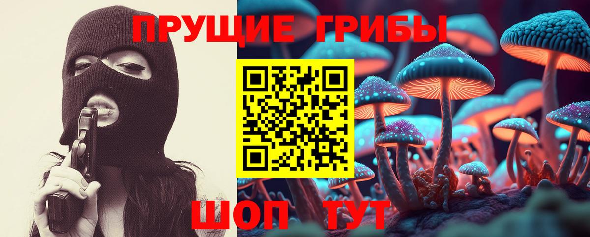 Алушта  Псилоцибиновые грибы GOLDEN TEACHER  Галлюциногенные грибы Cubensis  Вход с VPN 
