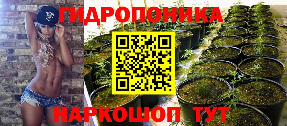 Шишки марихуана LSD WEED  Вход с VPN  Каннабис White Widow  Алушта 